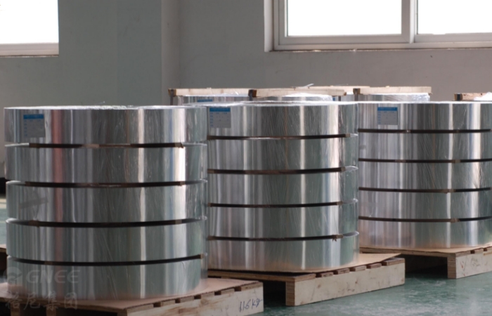 Silicon Steel Strip